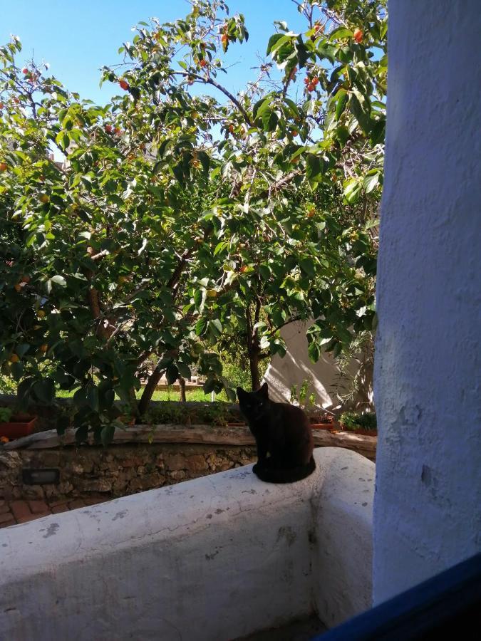B&B Corte San Lussorio Oliena Exterior photo