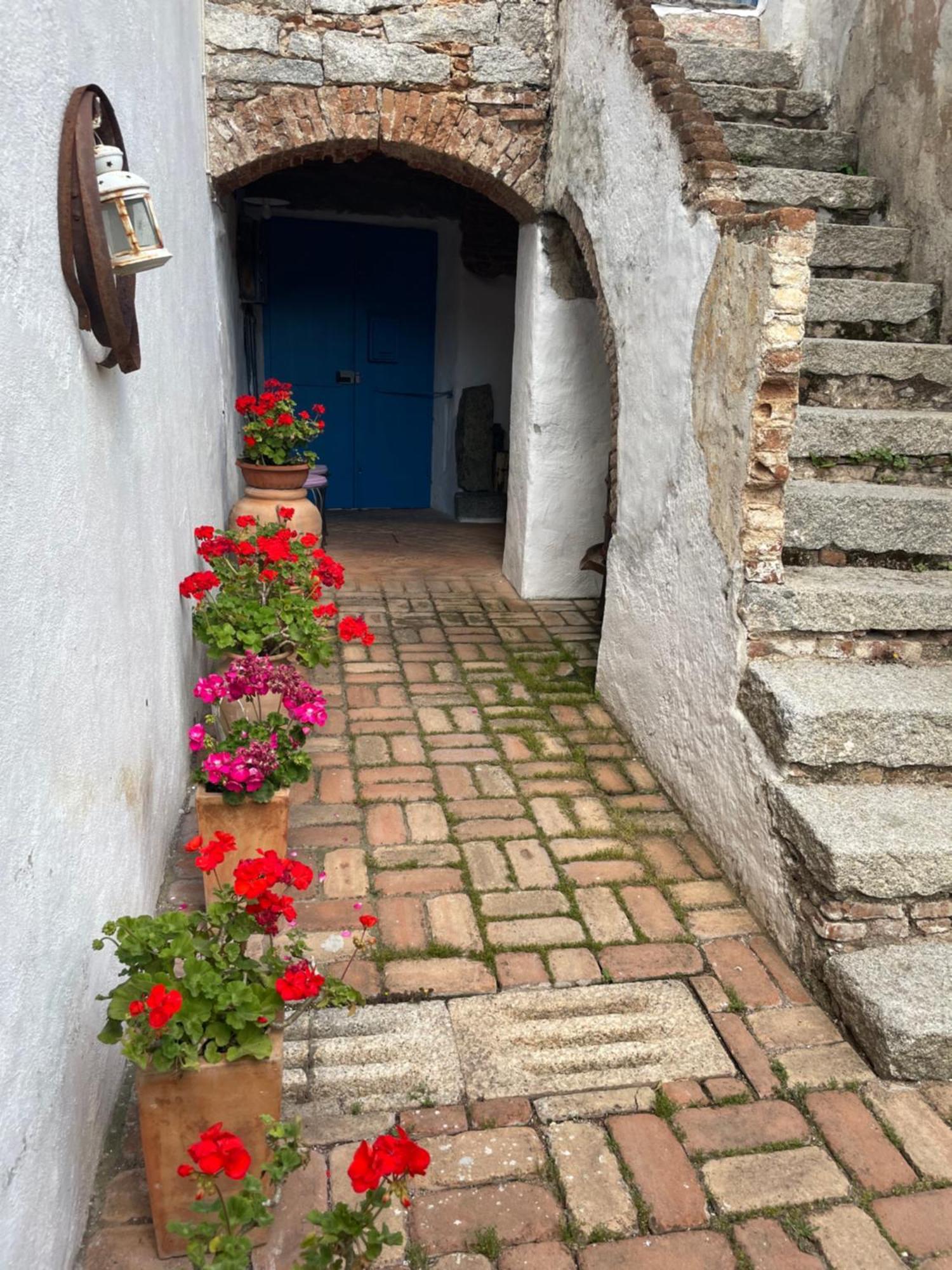 B&B Corte San Lussorio Oliena Exterior photo