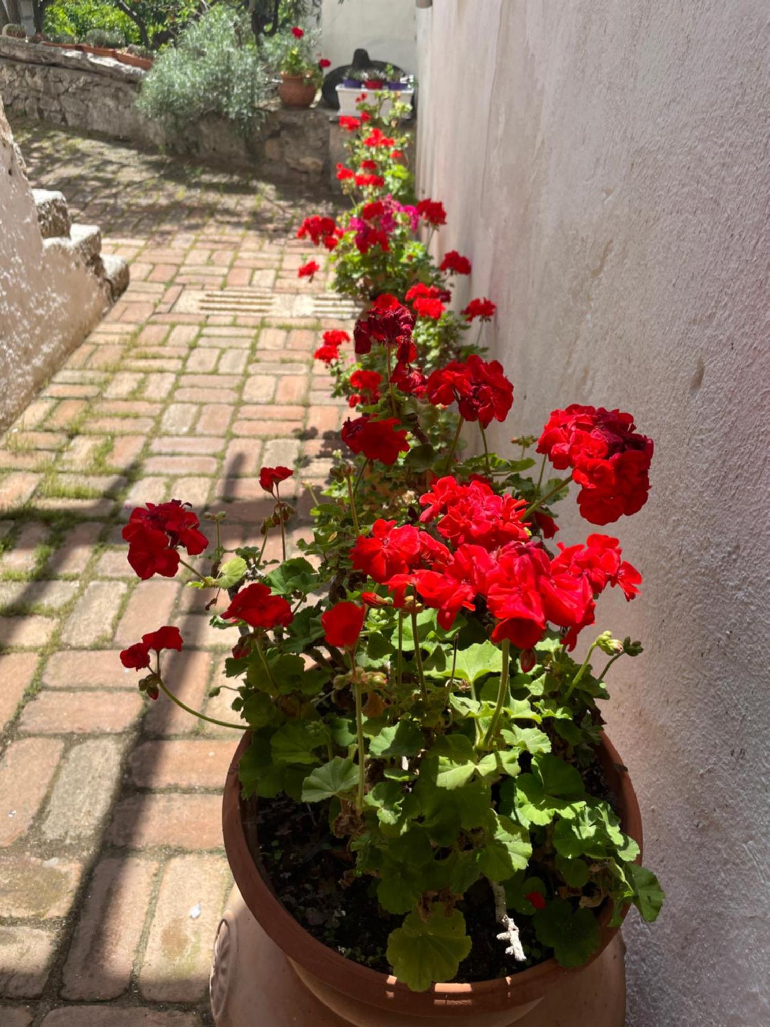 B&B Corte San Lussorio Oliena Exterior photo