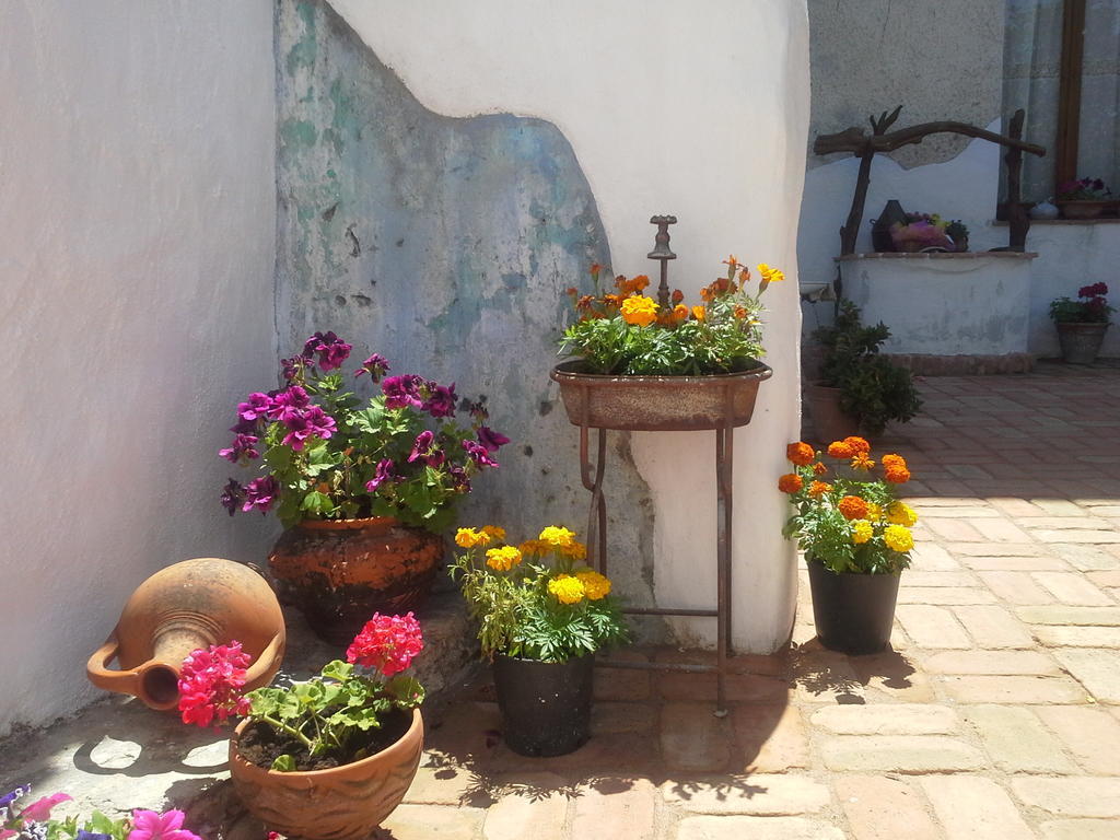 B&B Corte San Lussorio Oliena Exterior photo