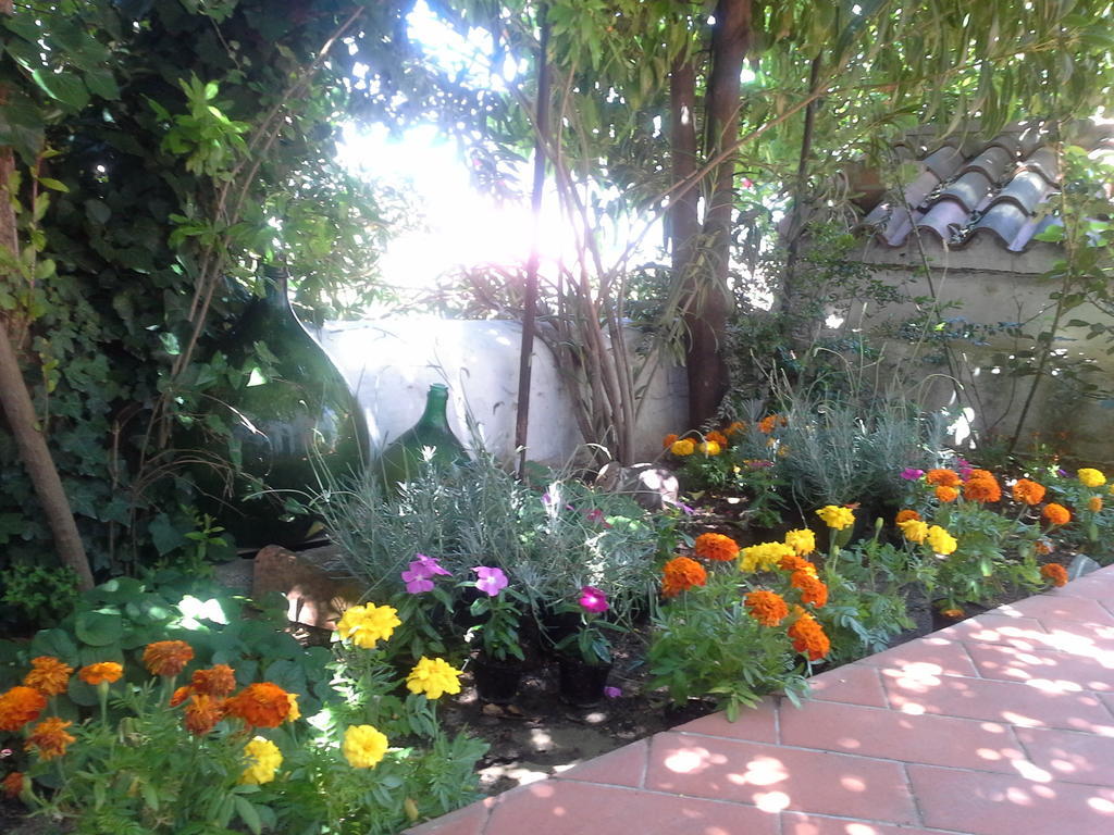 B&B Corte San Lussorio Oliena Exterior photo
